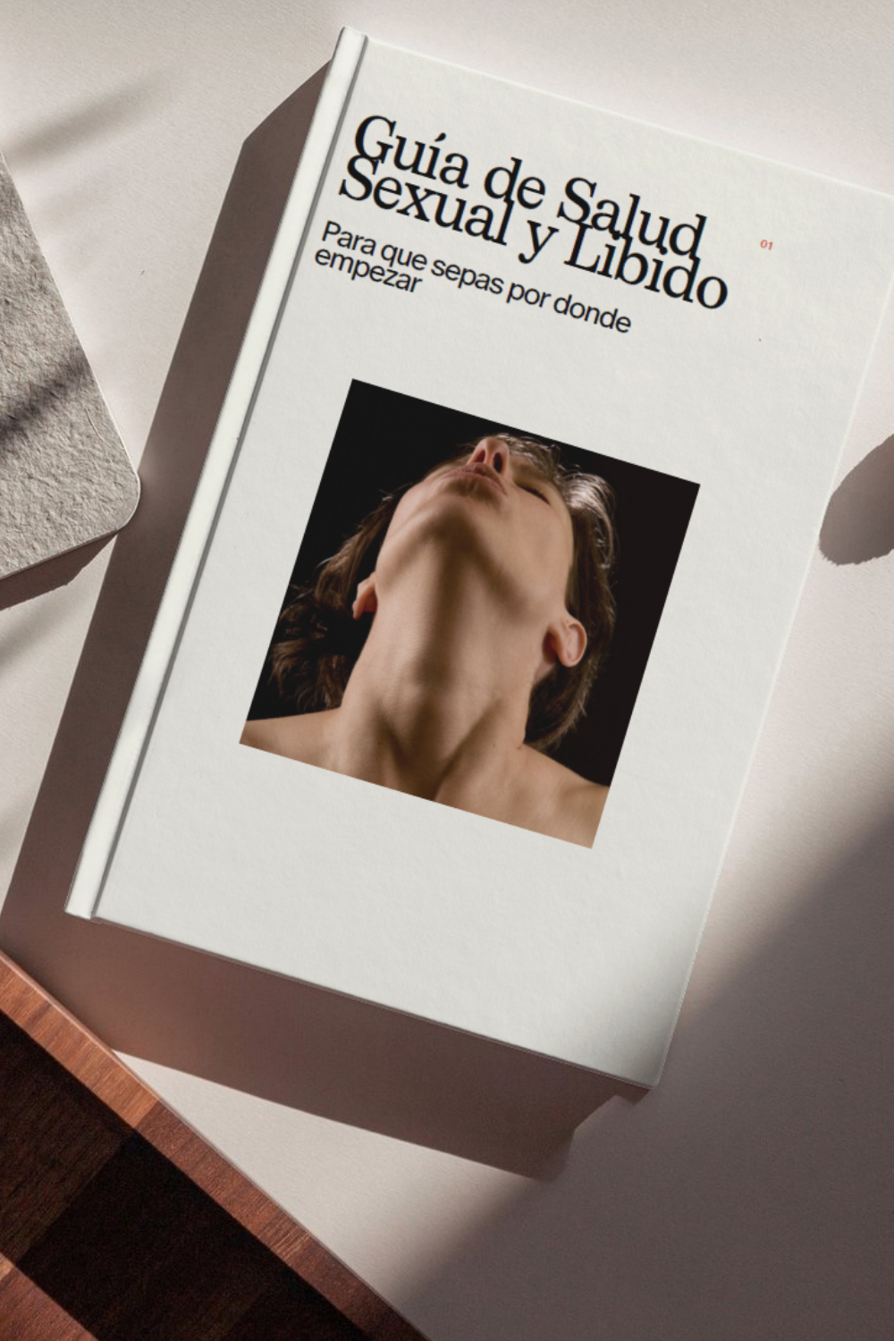 Mini guía de salud sexual y líbido