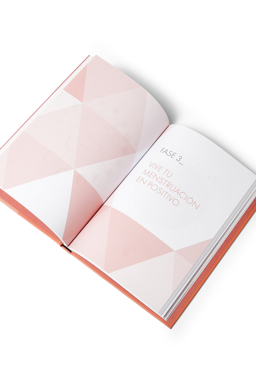 Libro CYCLO de Paloma Alma. Tu menstruación sostenible y en positivo