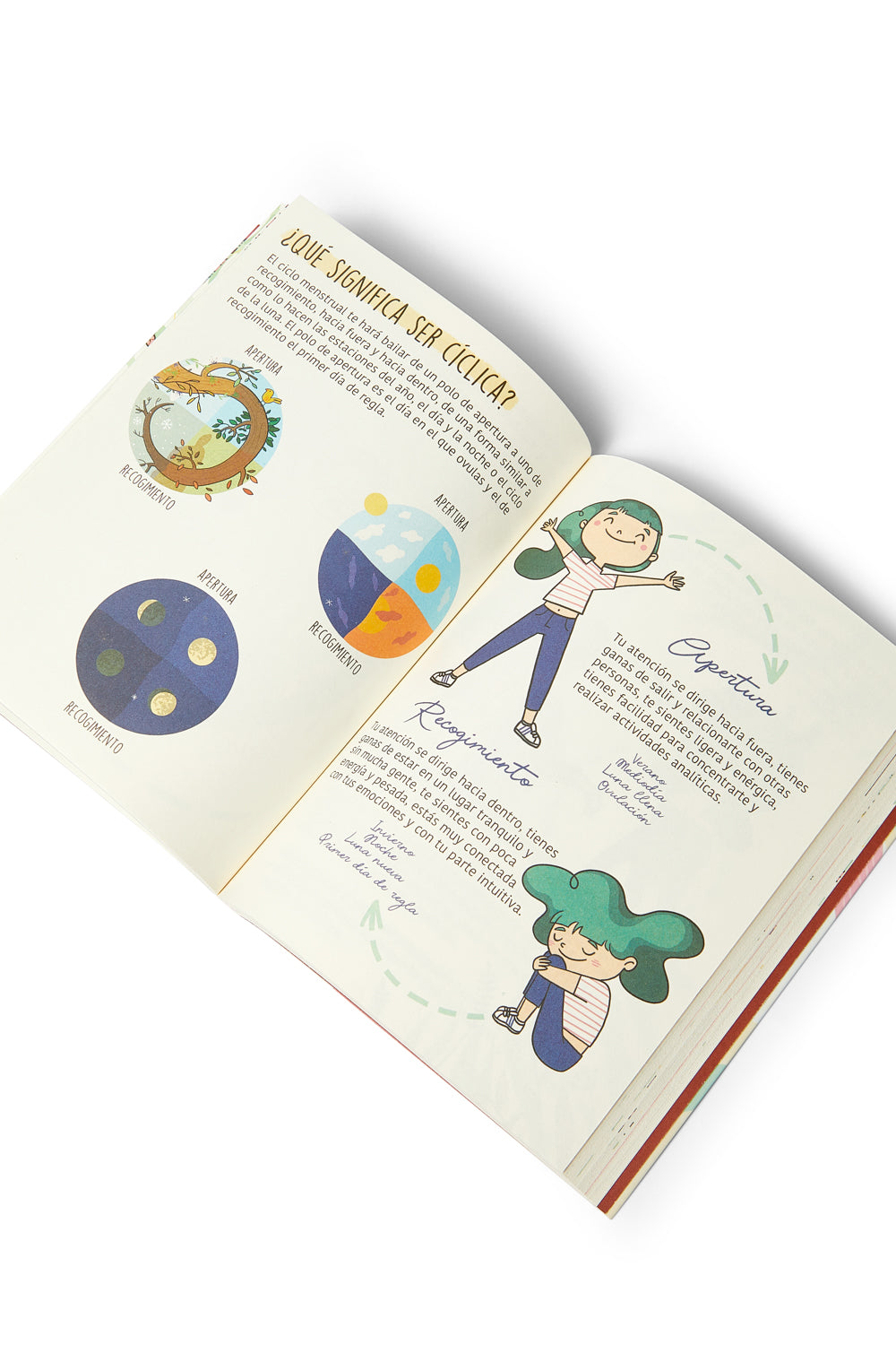 Libro Menstruita La Regla Mola